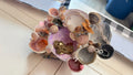 Seashell jewelry holder